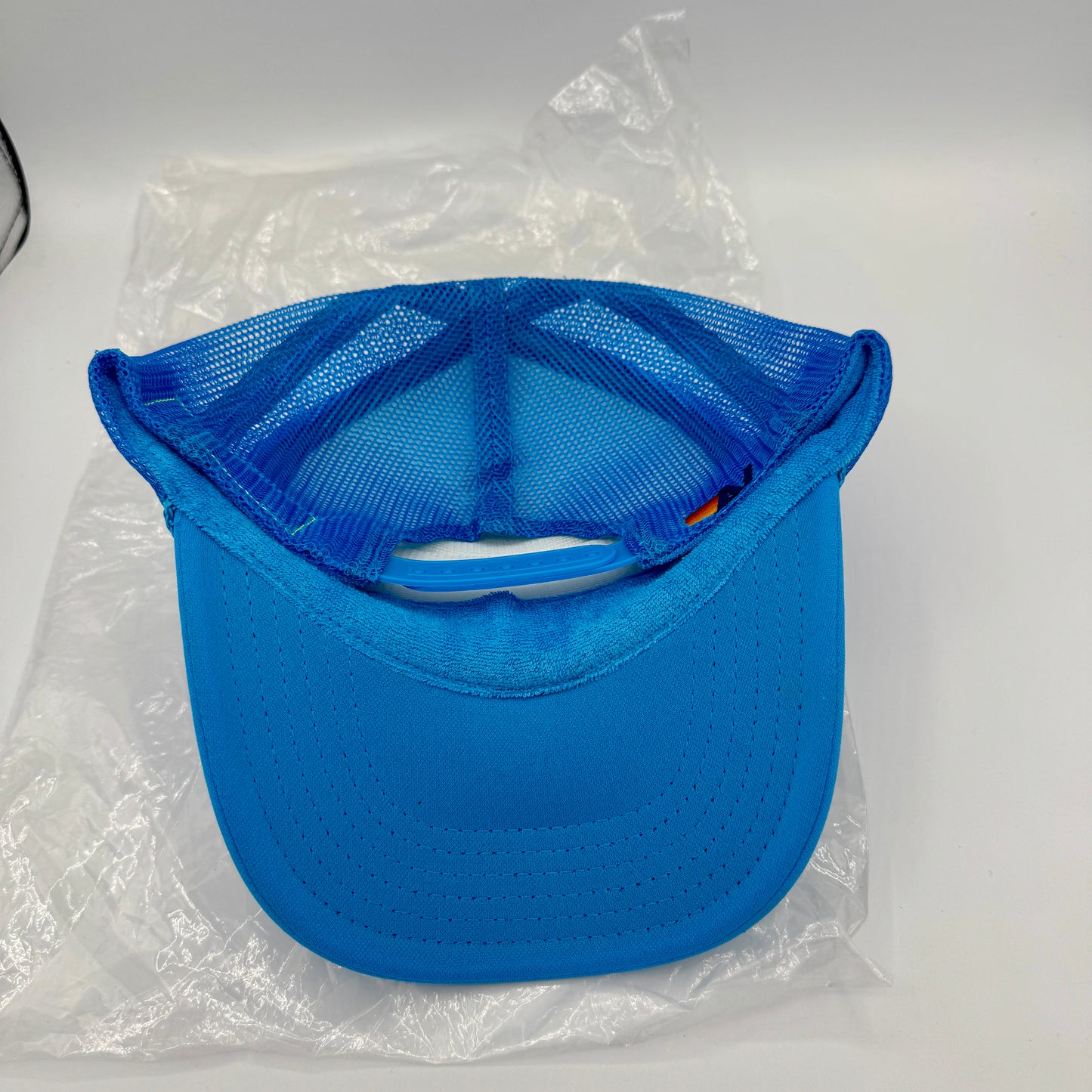 Aviator Nation Palm Tree Festival Aspen Trucker Hat in Neon Blue