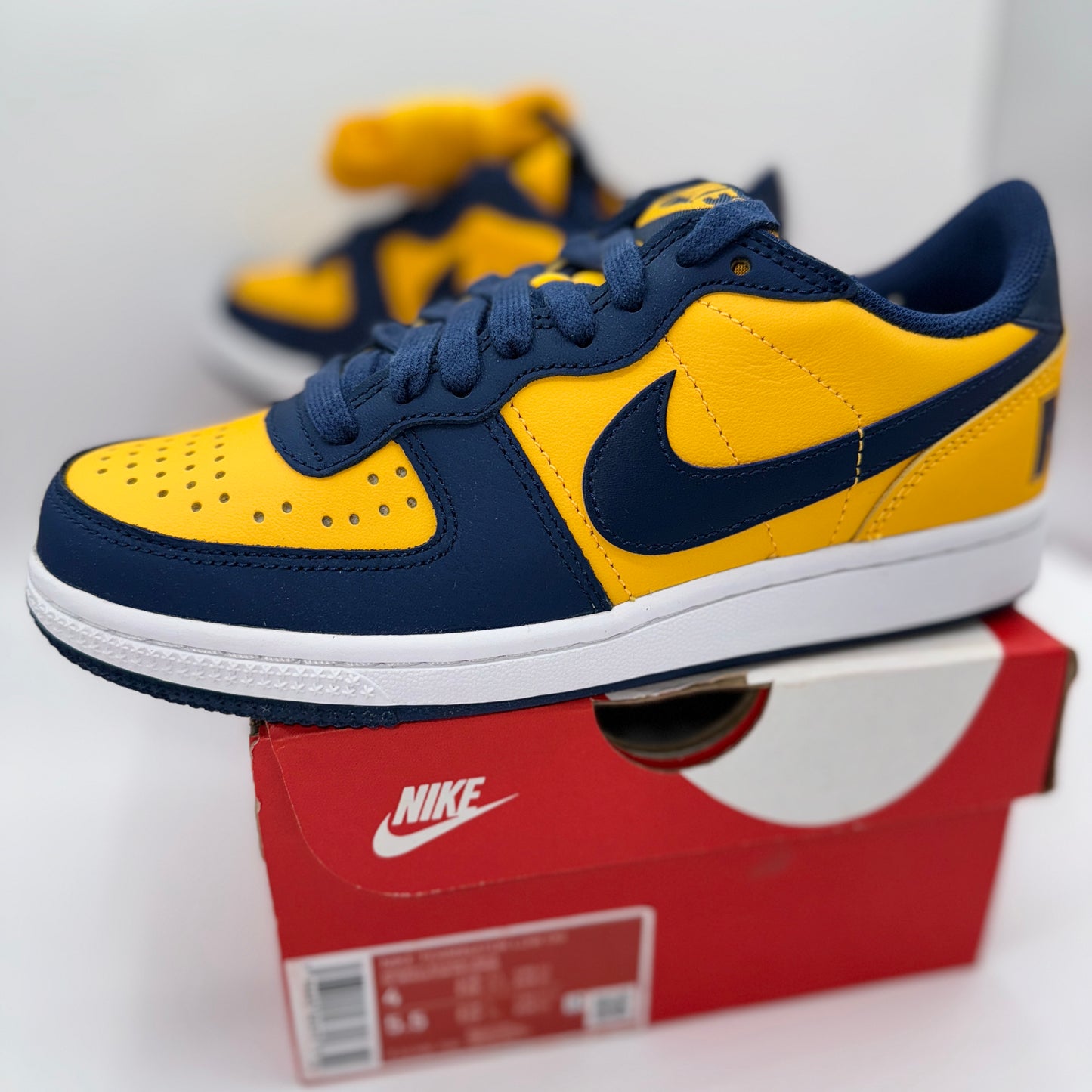 Nike Terminator Low in University Gold / Navy Blue “ Michigan “ Unisex Shoes