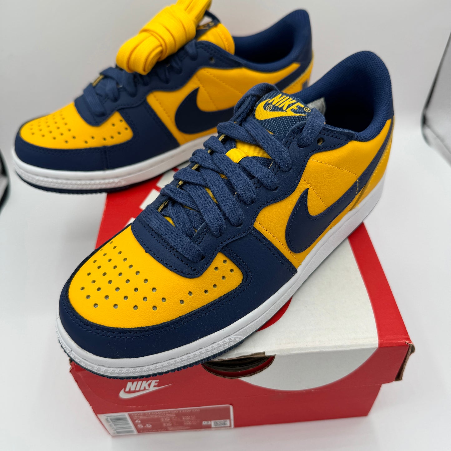 Nike Terminator Low in University Gold / Navy Blue “ Michigan “ Unisex Shoes