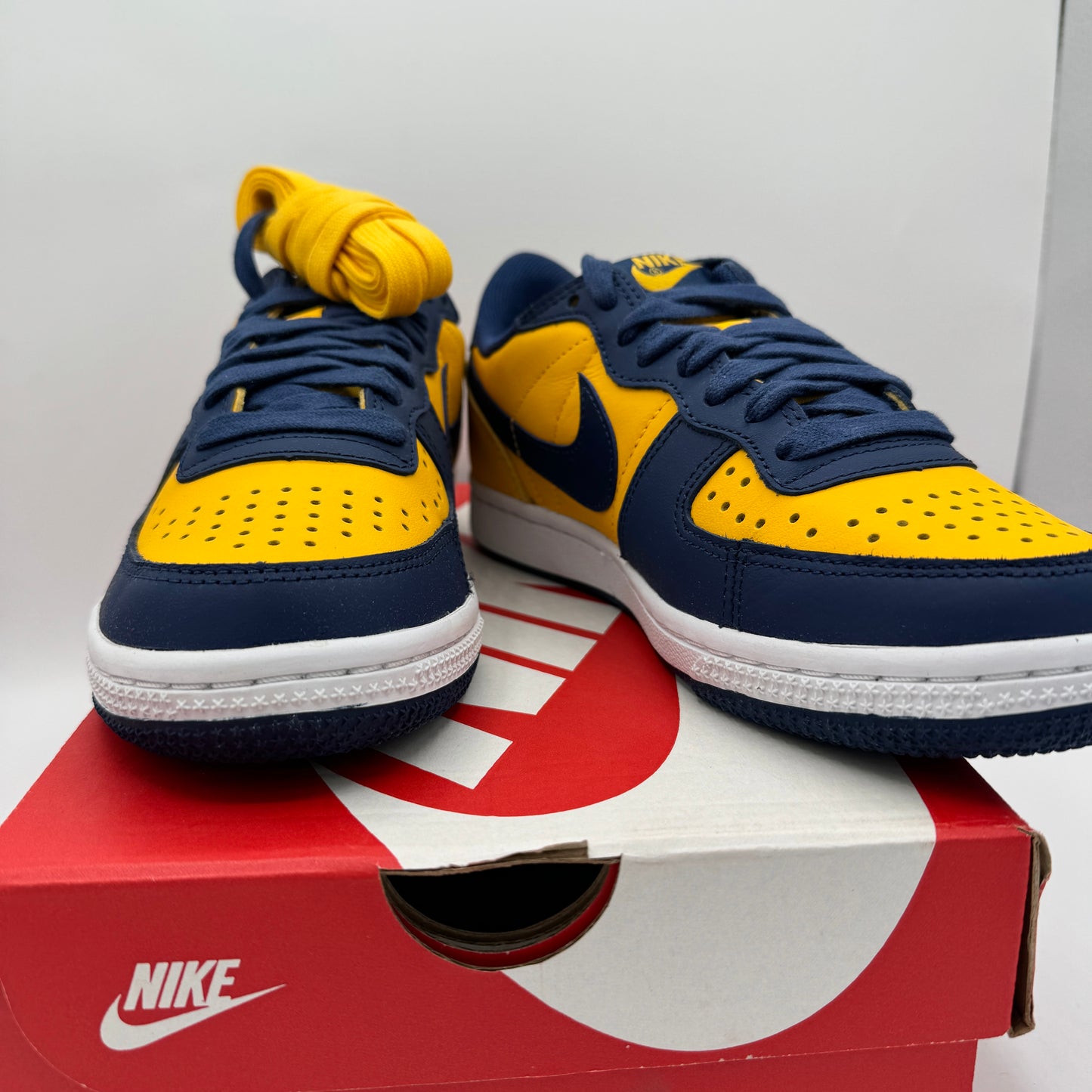 Nike Terminator Low in University Gold / Navy Blue “ Michigan “ Unisex Shoes