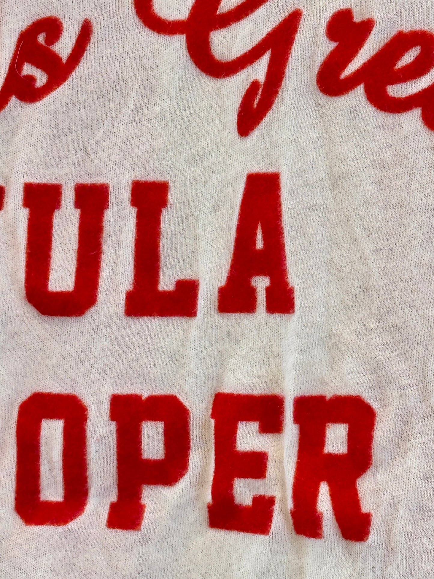 Wildfox Wildfox World’s Greatest Hula Hooper Raglan Women’s Top - Red * Pre-Owned *